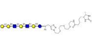 Galili antigen heptaose linked to desthiobiotin (Linker-DBT-A)