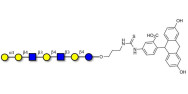 Galili antigen heptaose linked to fluorescein (Linker-FLUO A)