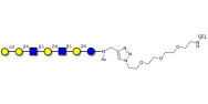 Galili antigen heptaose grafted on gel for affinity chromatography (Linker-GEL A)
