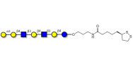 Galili antigen heptaose with cyclic di-thiol (Linker-LIPO A)