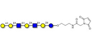 Galili antigen heptaose linked to maleimide (Linker-MAL A)