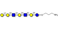 Galili antigen heptaose with free terminal amine (Linker-NH2 A)
