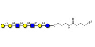 Galili antigen heptaose with terminal alkyne (Linker-CΞCH C)