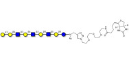 Galili antigen nonaose linked to biotin (Linker-BT A)