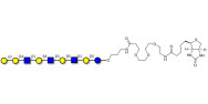 Galili antigen nonaose linked to biotin (Linker-BT C)