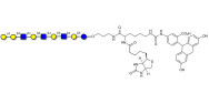 Galili antigen nonaose linked to biotin and fluorescein (Linker-BT-FLUO A)