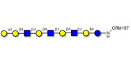Galili antigen nonaose grafted on CRM197