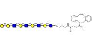 Galili antigen nonaose with DBCO (Linker-DBCO A)