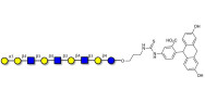 Galili antigen nonaose linked to fluorescein (Linker-FLUO A)
