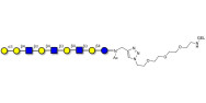 Galili antigen nonaose grafted on gel for affinity chromatography (Linker-GEL A)