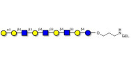 Galili antigen nonaose grafted on gel for affinity chromatography (Linker-GEL B)