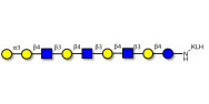 Galili antigen nonaose grafted on KLH