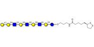 Galili antigen nonaose with cyclic di-thiol (Linker-LIPO A)