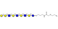Galili antigen nonaose with terminal azide (Linker-N3 B)