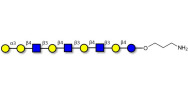 Galili antigen nonaose with free terminal amine (Linker-NH2 A)