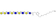 Galili antigen nonaose with free terminal amine (Linker-NH2 B)