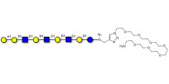 Galili antigen nonaose with free terminal amine (Linker-NH2 C)