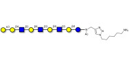 Galili antigen nonaose with free terminal amine (Linker-NH2 D)