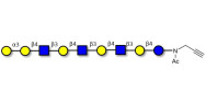 Galili antigen nonaose with terminal alkyne (Linker-CΞCH A)