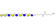 Galili antigen nonaose with terminal alkyne (Linker-CΞCH C)