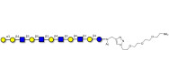 Galili antigen undecaose with free terminal amine (Linker-NH2 B)