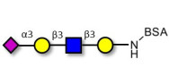 Sialylated tetraose type 1 grafted on BSA