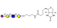 Sialylated tetraose type 1 linked to biotin (Linker-BT B)