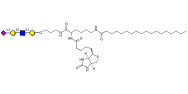 Sialylated tetraose type 1 linked to biotin and stearic chain (Linker-BT-STEA A)