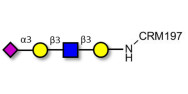 Sialylated tetraose type 1 grafted on CRM197