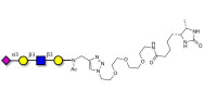 Sialylated tetraose type 1 linked to desthiobiotin (Linker-DBT-A)