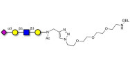 Sialylated tetraose type 1 grafted on gel for affinity chromatography (Linker-GEL A)