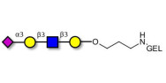 Sialylated tetraose type 1 grafted on gel for affinity chromatography (Linker-GEL B)