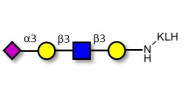 Sialylated tetraose type 1 grafted on KLH