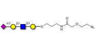 Sialylated tetraose type 1 with terminal azide (Linker-N3 B)