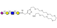 Sialylated tetraose type 1 with free terminal amine (Linker-NH2 C)