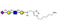 Sialylated tetraose type 1 with free terminal amine (Linker-NH2 D)