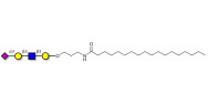 Sialylated tetraose type 1 with stearic chain (Linker-STEA A)