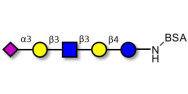 LS-Tetrasaccharide a (LSTa)  grafted on BSA