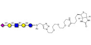 LS-Tetrasaccharide a (LSTa)  linked to biotin (Linker-BT A)