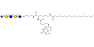 LS-Tetrasaccharide a (LSTa)  linked to biotin and stearic chain (Linker-BT-STEA A)