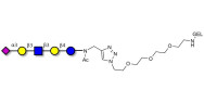 LS-Tetrasaccharide a (LSTa)  grafted on gel for affinity chromatography (Linker-GEL A)
