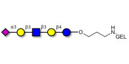 LS-Tetrasaccharide a (LSTa)  grafted on gel for affinity chromatography (Linker-GEL B)