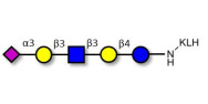 LS-Tetrasaccharide a (LSTa)  grafted on KLH