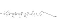 LS-Tetrasaccharide a (LSTa)  with free terminal amine (Linker-NH2 B)