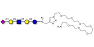 LS-Tetrasaccharide a (LSTa)  with free terminal amine (Linker-NH2 C)