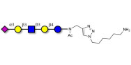 LS-Tetrasaccharide a (LSTa)  with free terminal amine (Linker-NH2 D)