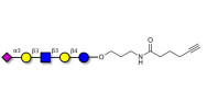 LS-Tetrasaccharide a (LSTa)  with terminal alkyne (Linker-CΞCH C)