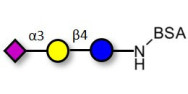 3'-Sialyllactose (3'-SL) / GM3 Ganglioside oligosaccharide grafted on BSA