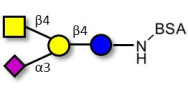 GM2 Ganglioside oligosaccharide grafted on BSA