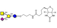 GM2 Ganglioside oligosaccharide linked to biotin (Linker-BT B)